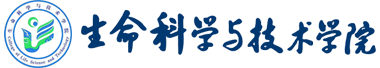 美加墨世界杯比赛官网